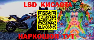 apvp Новодвинск