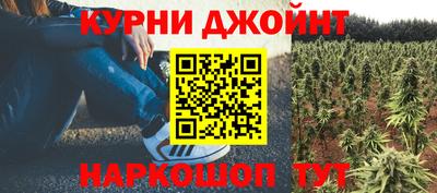стафф Новокубанск