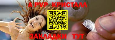 тгк Новозыбков