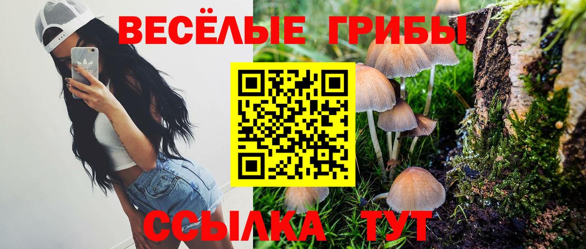 Славянск-на-Кубани  Галлюциногенные грибы Cubensis  Вход с VPN 